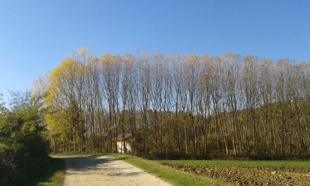 Vista Sul Patrimonio Dell'Unesco Cortiglione Luaran gambar